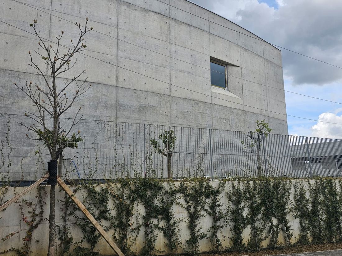 Vila Agalliu
